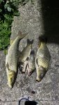 IMG_9097.jpeg
