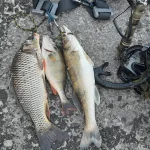 20260626_043109.webp
