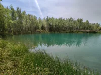 12.webp 12.webp