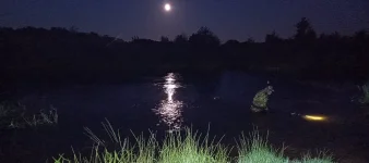 IMG_20260801_220612 — копия.webp