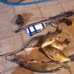 20260811_015457.webp