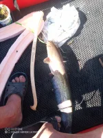 IMG_20260829_095904_226.webp