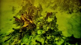 vlcsnap-2026-08-30-10h32m00s199.webp