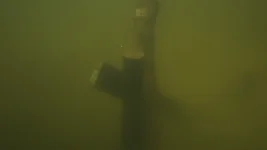 vlcsnap-2026-08-30-11h32m16s891.webp