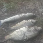 20260913_183341.webp