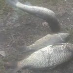 20260913_183356.webp