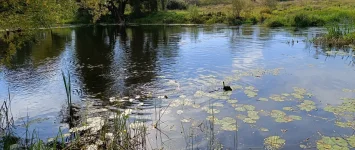 IMG_20260904_101435 — копия.webp