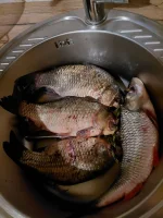 IMG_20260922_093707_989.webp