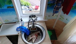 IMG_20260926_150712 — копия.webp