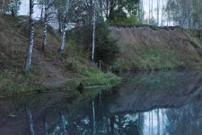 14.webp