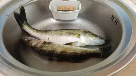 IMG_20261010_212856 — копия.webp IMG_20261010_212856 — копия.webp