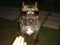 x_7c13cf20.webp