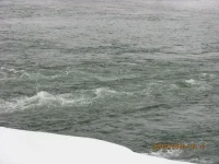 IMG_207311.webp