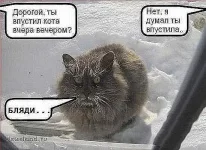 rjn.webp