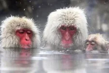 1272863070_1272613397_doseng_org_these_funny_animals_640_21.webp