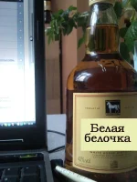 00000000000000 копия.webp 00000000000000 копия.webp