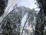 26012011081.jpg
