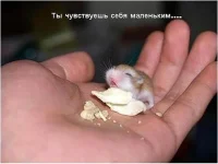 Рисунок7.webp
