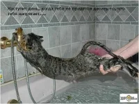 Рисунок16.webp