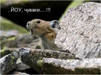 Рисунок21.webp