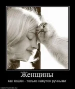 женщины как кошки.webp