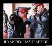 834f142a4938.webp