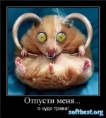 1276659770_qanvkrmbdhx5sv0.webp