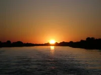P6120450.webp