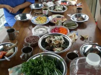 P7240590.webp