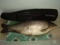 getImageCAH3I4G1.webp
