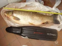 getImageCAK0IM4L.webp
