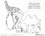 caricatura-camelus.gif