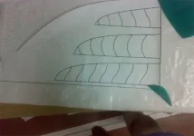 monolasta_4.webp