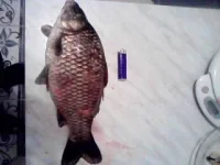 P05-02-11_01.41.webp