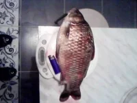 P05-02-11_01.38.webp
