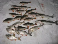 IMG_327011.webp