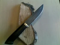07022011250.webp