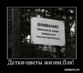 1256016798_22.webp