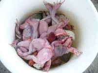 1. потрошим и снимаем шкуру.webp
