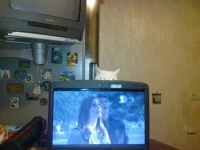 10022011397.webp