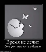 getImage (7).webp