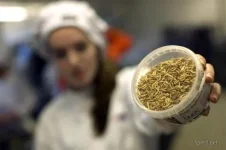 1295547103_mealworms_05.webp