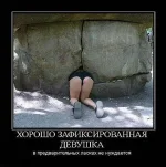фиксатор.webp