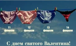 12.webp
