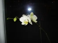 DSC00776.webp