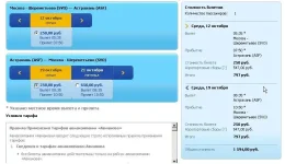 астр.webp астр.webp