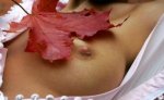 autumn.thumbnail.jpg