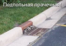 1297861246_1297864907_22.webp