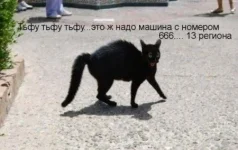 1297861305_1297864944_11.webp