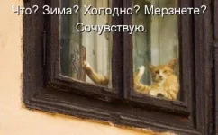 1297861312_1297864963_20.webp